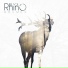 Black Rhino