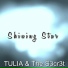 The S3cr3t, TULIA