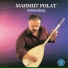 Mahmut Polat