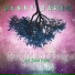 Danny Darko