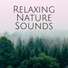 Serenity Time Record Ensemble & Spa & Spa