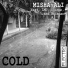 Misha Ali