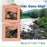 Cor Gore Glas Choir