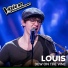 Louis De Roo