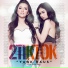 2TikTok