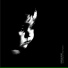 Dark & Dear