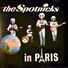 The Spotnicks