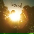 Big Deal