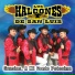 Los Halcones de San Luis