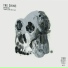 The Shins, Fug Yep Soundation