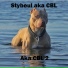Stybeul