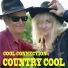 The Cool Connection