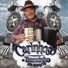 O Carinhoso