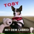 Toby