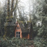 Home Sounds