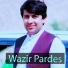 Wazir Pardes
