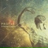 Proyas