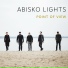 Abisko Lights