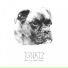 Ignatz