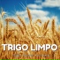 Trigo Limpo