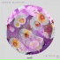 Groove Salvation