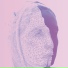 Olivia Louvel