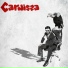 Carnissa