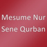 Mesume Nur