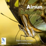 Airsun