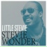 Stevie Wonder
