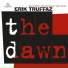 Erik Truffaz