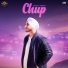 Lucky Singh, Tej Music