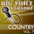 Big Voice Karaoke