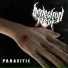 Reflection of Flesh
