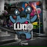 Ludo