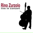 Rino Zurzolo