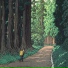 Tadashi