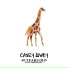 Casey Lowry feat. Rothwell