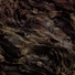 Maurus