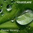 Passive Vacancy
