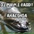 DJ Purple Rabbit