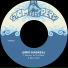 The Jimmie Haskell Orchestra