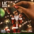 Lil Duval - Christmas Trees - Single