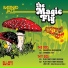 The Magic Fly