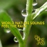 World Nature Sounds