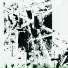 Michel Cloup Duo, Pascal Bouaziz