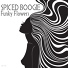 Spiced Boogie