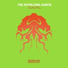 The Revolving Junkie