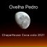 Ovelha Pedro