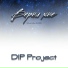 D.I.P Project